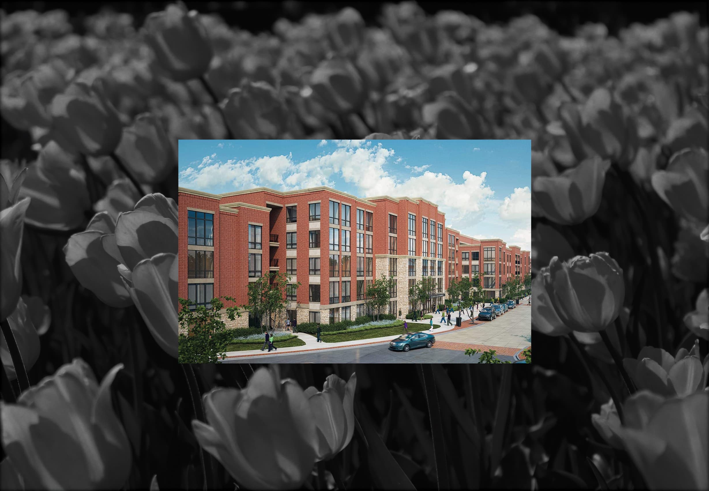 District Lofts DC Partners